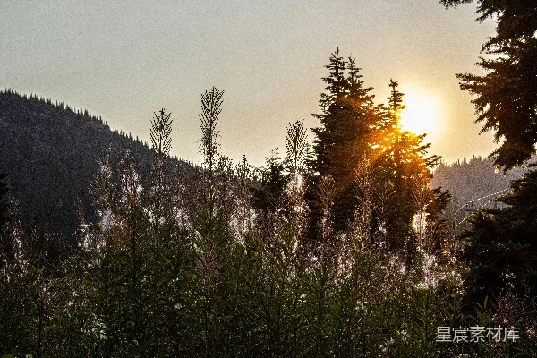 高清摄影 夕阳正照耀着群山和树木。