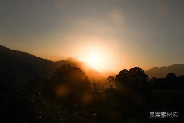 高清摄影 夕阳西照，森林笼罩在余晖中。