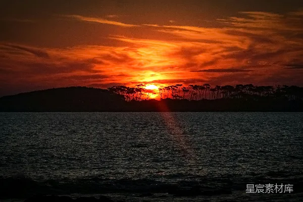 高清摄影 夕阳西下，倒映在水面上，背景中有树木。