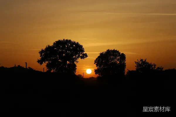 高清摄影 剪影的树木映衬着绚丽的夕阳天空。