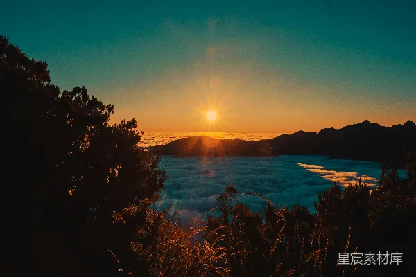 高清摄影 白天水边的绿树