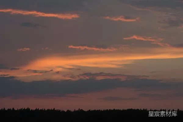 高清摄影 夕阳照在树上