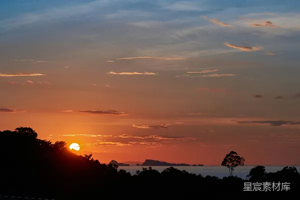 高清摄影 夕阳正照在树林和水面上。