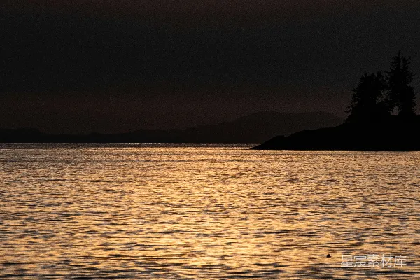 高清摄影 夕阳下水边的树影