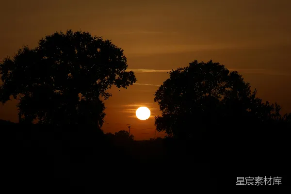 高清摄影 夕阳在剪影的树木之间闪耀。