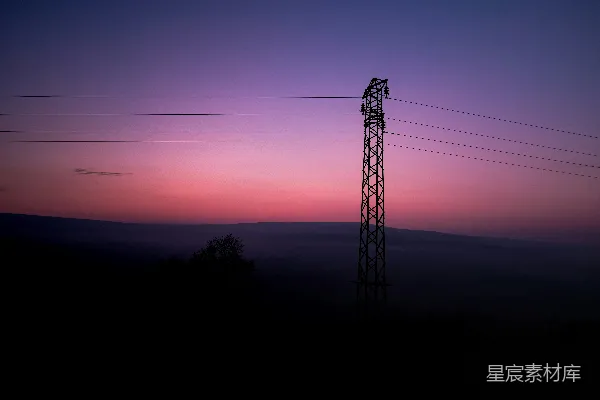 高清摄影 夕阳下树木的剪影