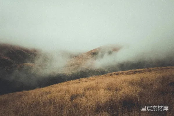 高清摄影 背景中有山的草地场