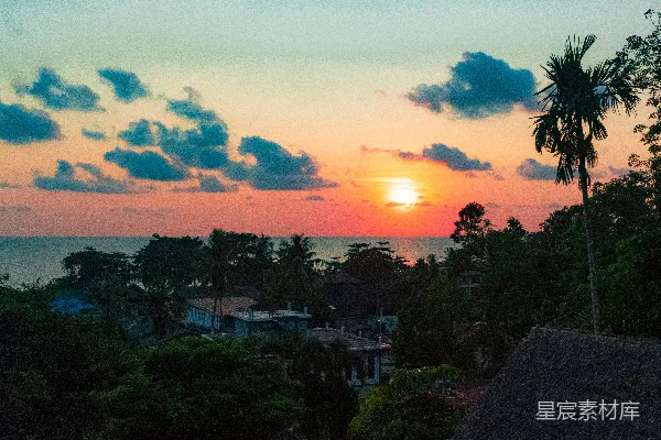 高清摄影 夕阳正映照着海面，棕榈树随风轻摇。