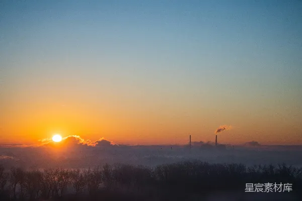 高清摄影 夕阳下树木的剪影