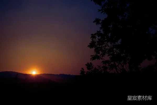 高清摄影 夕阳在远处的树后落下。