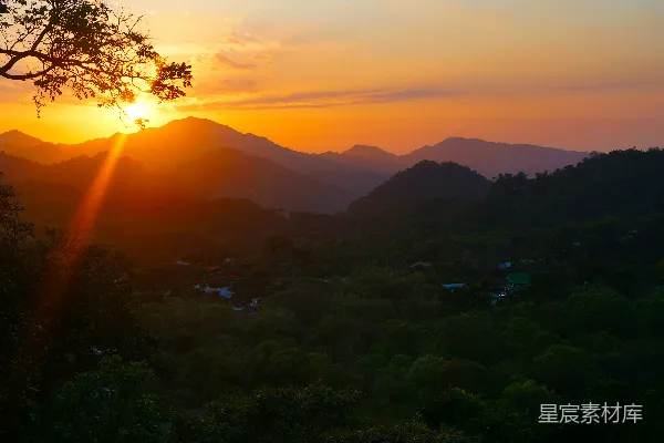 高清摄影 夕阳西下时山上的绿树