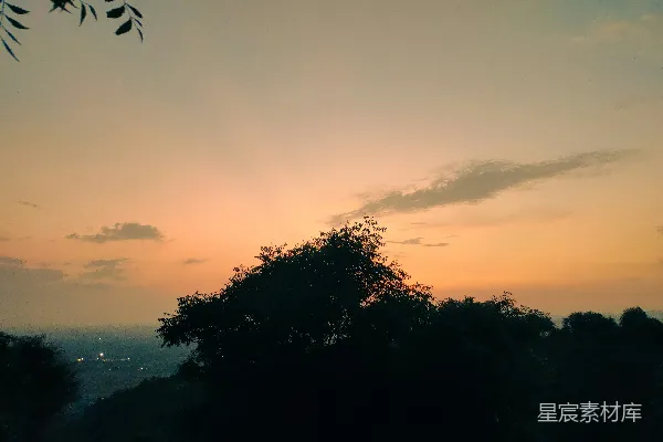 高清摄影 剪影中的树木在夕阳的天空下
