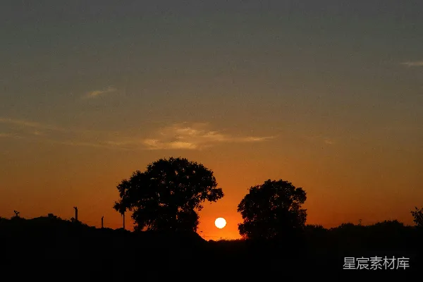 高清摄影 夕阳下，两棵树剪影在熊熊燃烧的天空中。
