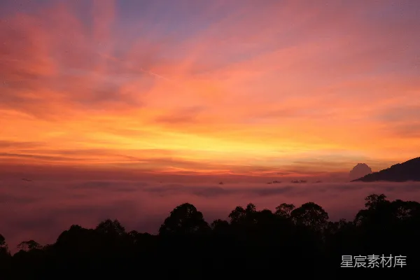 高清摄影 绚丽的夕阳天空，云层和剪影树木