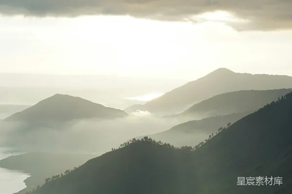 高清摄影 白天山上的绿树