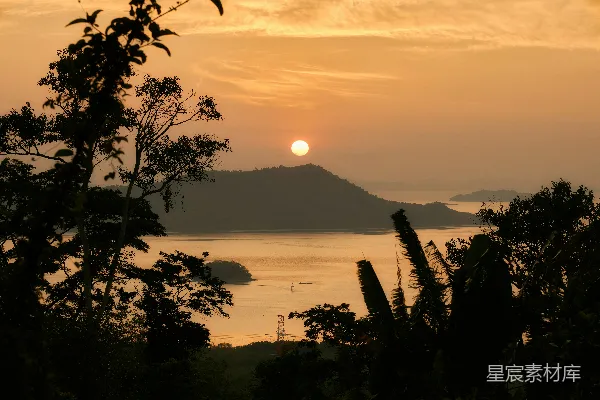 高清摄影 平静水面的夕阳与剪影中的树木