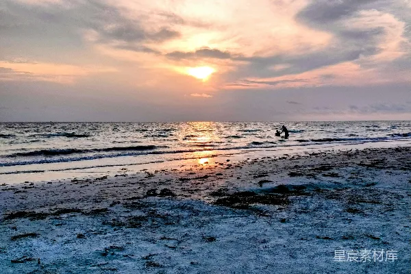 高清摄影 一个在海滩上骑冲浪板的人