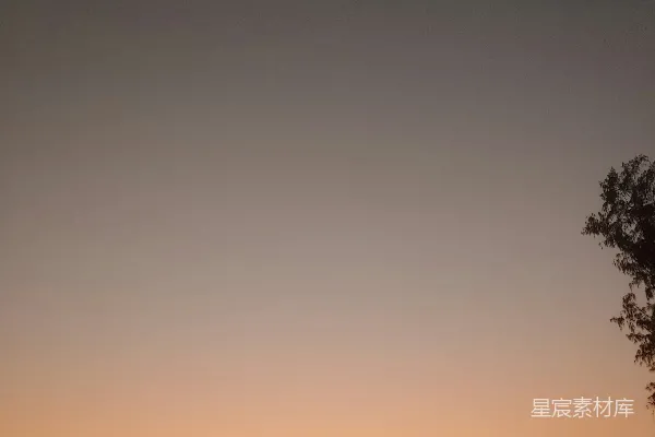 高清摄影 太阳正在树林中的田野上落下。