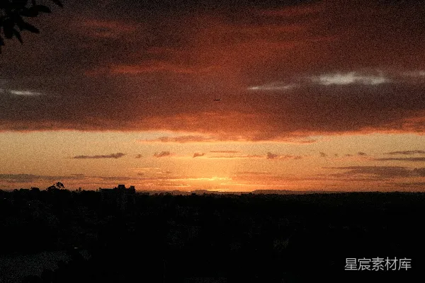 高清摄影 夕阳西下，田野上树木映衬着余晖。