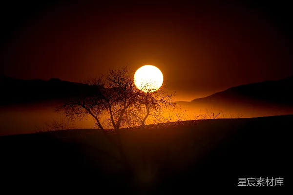 高清摄影 夕阳映照在剪影树和风景上。