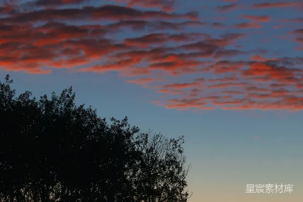 高清摄影 剪影的树木在绚丽的夕阳天空下。