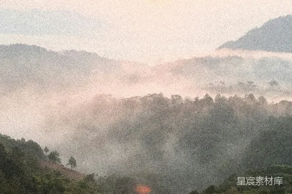 高清摄影 晨曦中的薄雾森林景观，连绵起伏的山丘