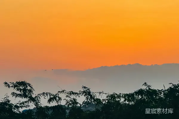 高清摄影 夕阳西下，笼罩在深色森林树冠之上