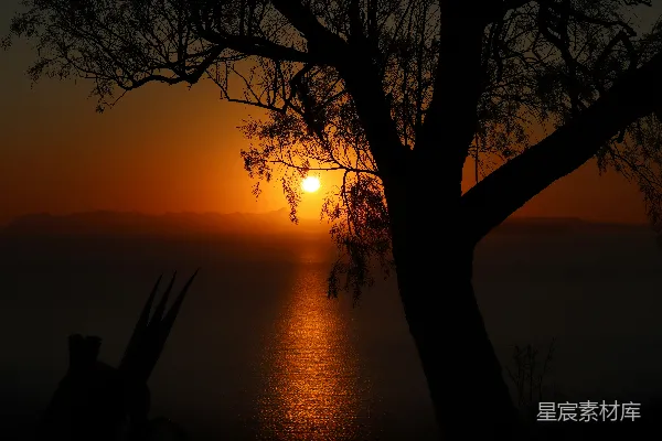 高清摄影 夕阳西下，海面上树木剪影。