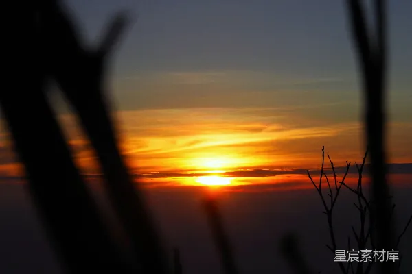 高清摄影 透过黑暗的剪影树枝看到的美丽金色夕阳。