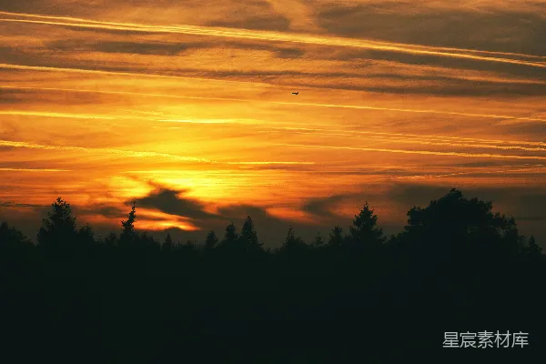 高清摄影 夕阳映照着一片黑暗的森林剪影