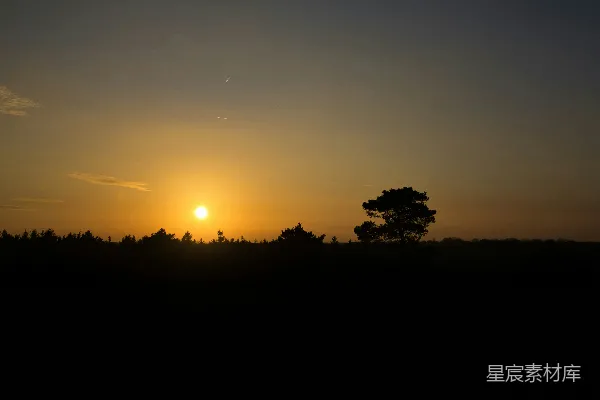 高清摄影 夕阳西下，映照在剪影般的地平线上，一棵孤独的树矗立其中。