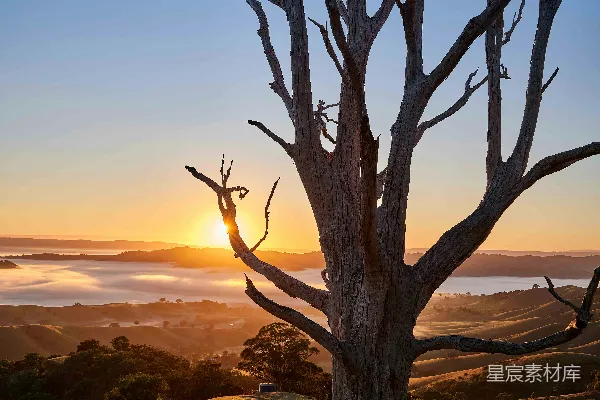高清摄影 夕阳西沉，树影在山顶。