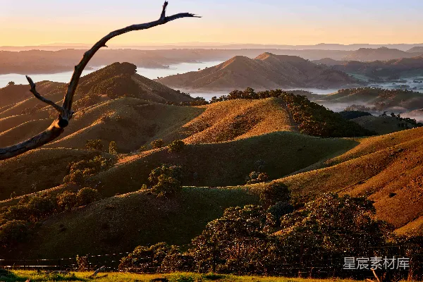 高清摄影 前景中有一棵枯死的树，背景是山脉的景色。