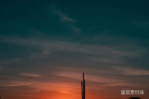 高清摄影 太阳正落在这片树林中的田野上。