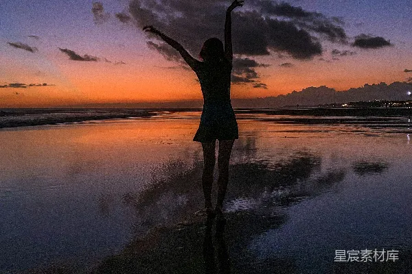 高清摄影 白鹭站在水边