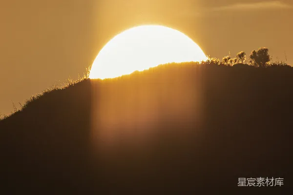 高清摄影 夕阳西下，近景处有一匹马。