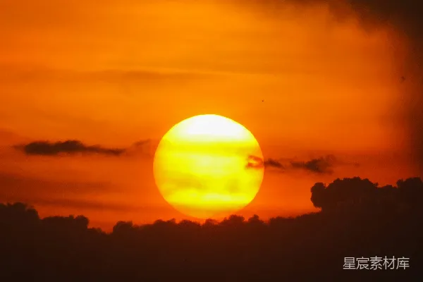 高清摄影 树木剪影夕阳中