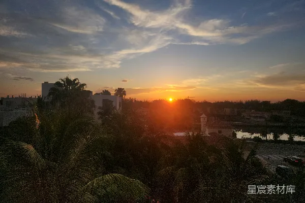 高清摄影 夕阳映照在城市上空，棕榈树影婆娑。