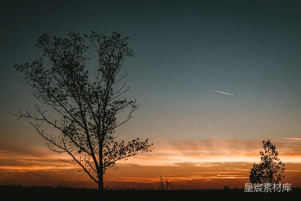 高清摄影 一棵树，背景是夕阳。