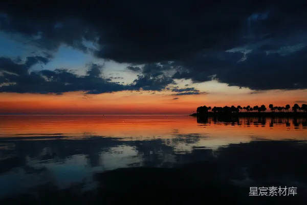 高清摄影 夕阳下水中岸边树木的剪影