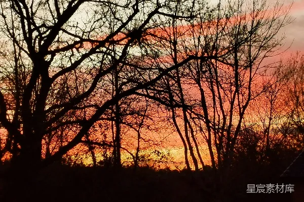 高清摄影 夕阳西下，背景中树木和建筑物相映成景。