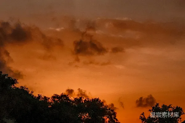 高清摄影 夕阳正在道路上的树木后落下。