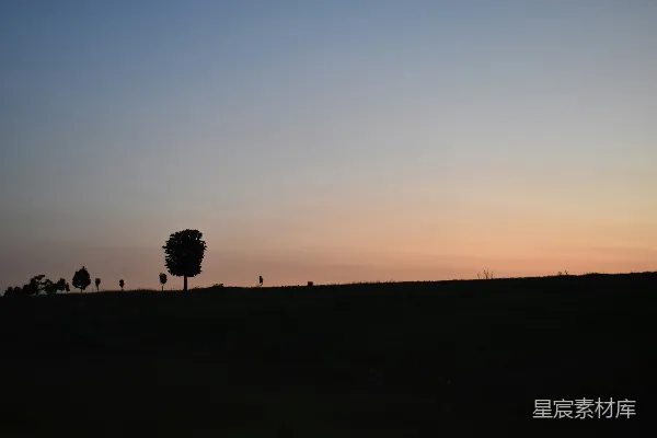 高清摄影 夕阳西下时，山顶上的一棵孤树