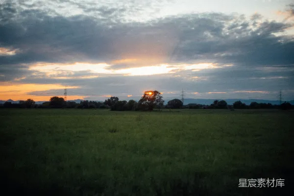 高清摄影 夕阳下的绿草地