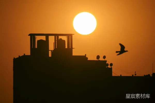 高清摄影 太阳正落在这座建筑物后面，一只鸟飞过。