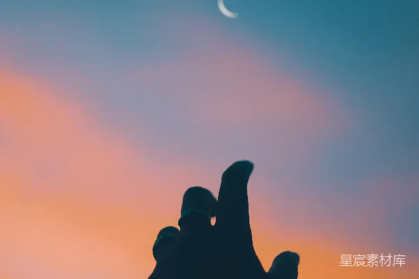 高清摄影 一只鸟在空中飞翔