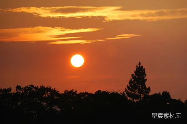 高清摄影 远处的树木上空，夕阳正在落下。