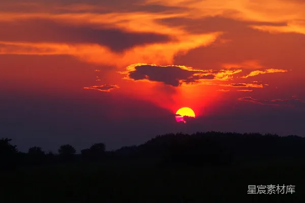 高清摄影 夕阳下鸟儿的剪影