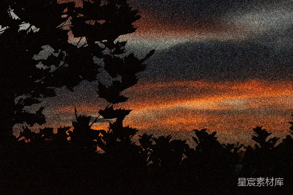 高清摄影 一棵树的剪影映衬在夕阳的天空下。