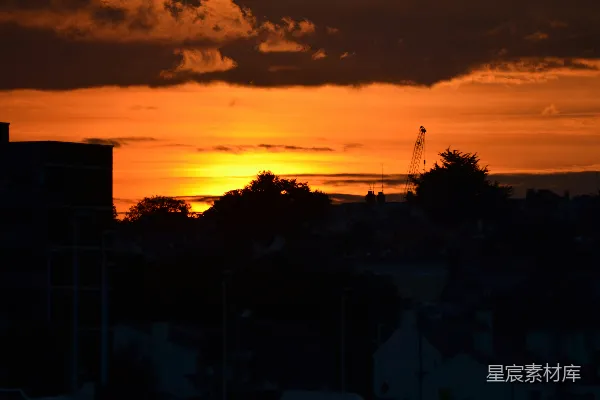 高清摄影 夕阳下树木的剪影